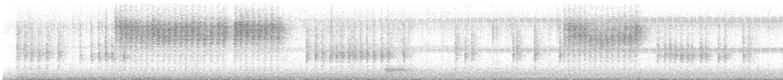 Troglodyte familier (groupe aedon) - ML622233940