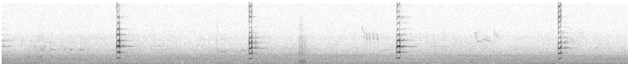 slípka americká (ssp. sandvicensis) - ML622242150