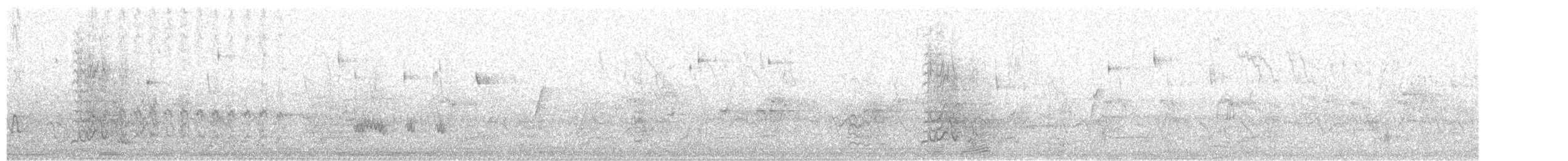 White-spotted Woodpecker - ML622242542