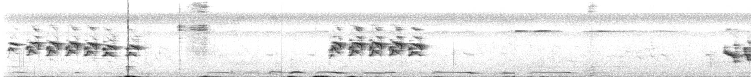 Yucatan Gnatcatcher - ML622244540