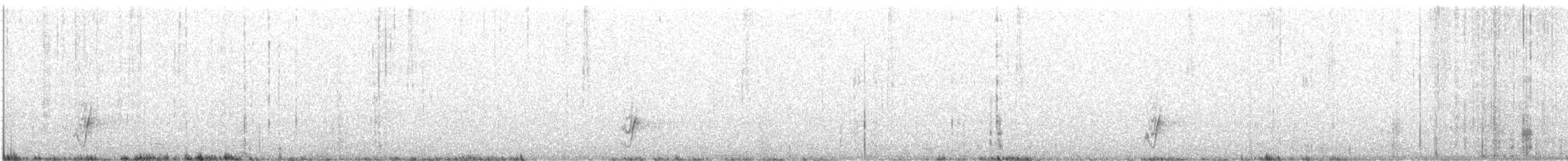 Moqueur de Californie - ML622247315