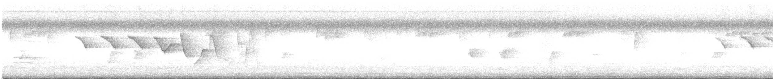 Paruline hochequeue - ML622247856