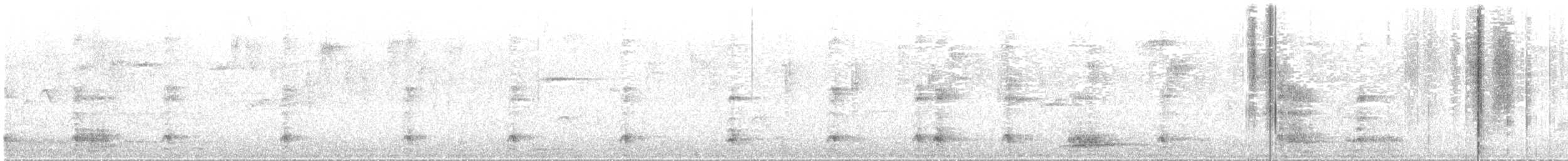 Toucanet à ceinture bleue - ML622251327