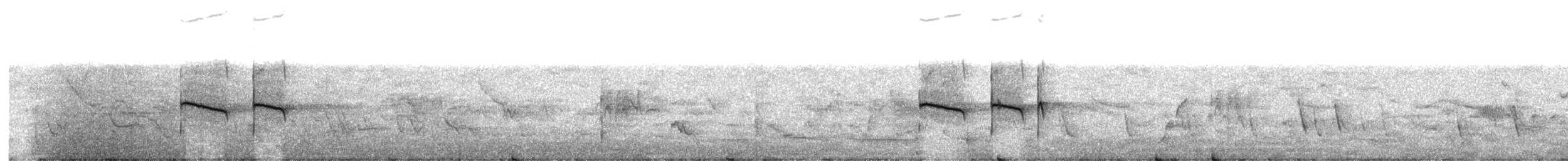 Tumbesschnäppertyrann - ML622258846