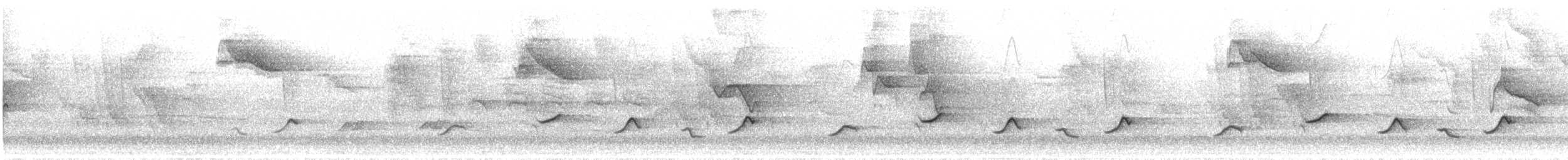Bar-winged Oriole - ML622260523