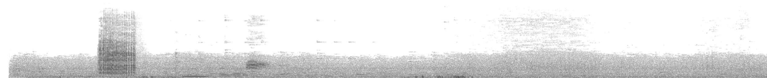 Lesser Noddy - ML622263816