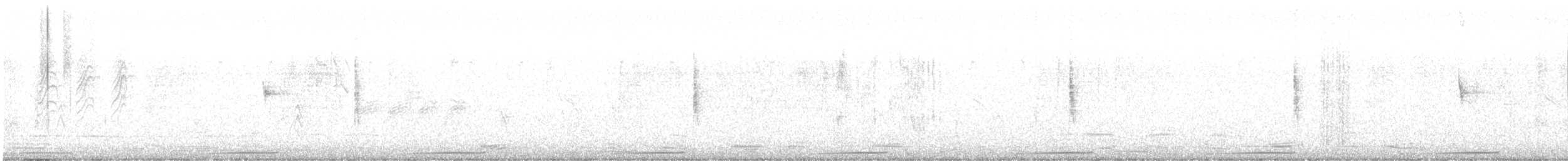 spurvedue - ML622264178