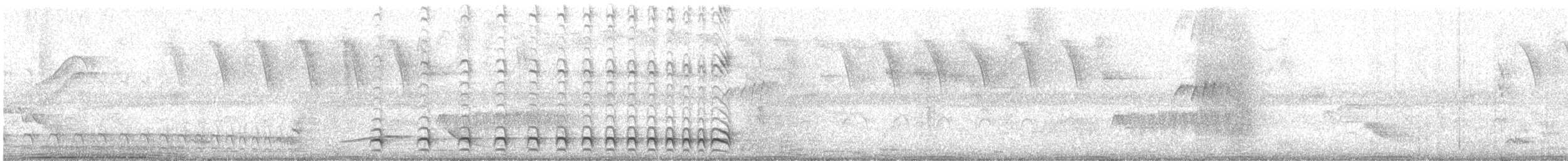 Lined Antshrike - ML622264194
