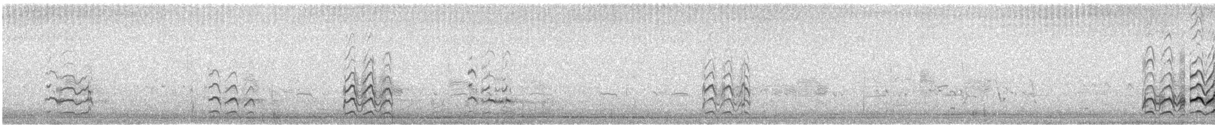 Piro piro semipalmato - ML622272302