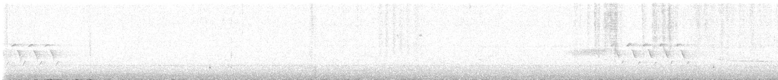 Bachman's Sparrow - ML622272408