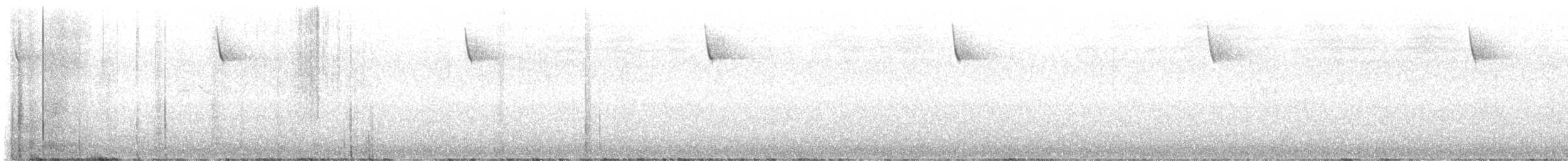 Bachman's Sparrow - ML622272452