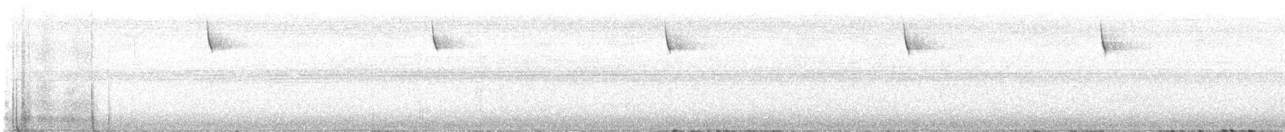 Bachman's Sparrow - ML622272453