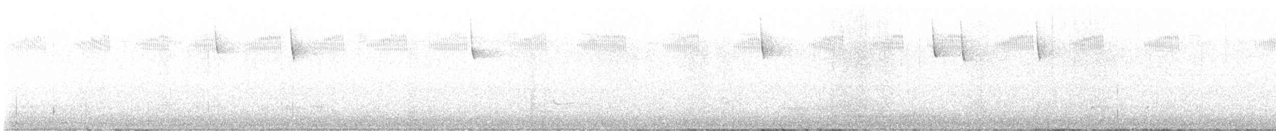 Bachman's Sparrow - ML622272454