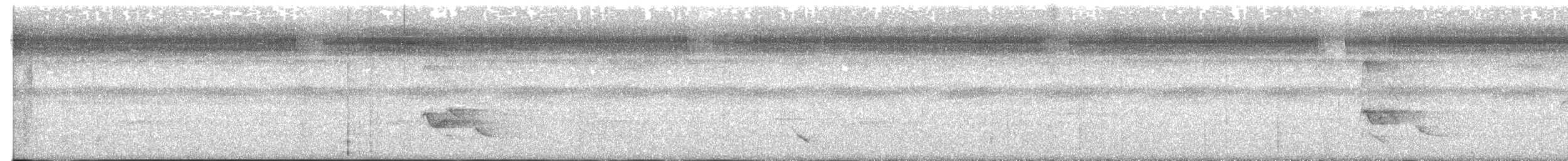 Black Baza - ML622285082