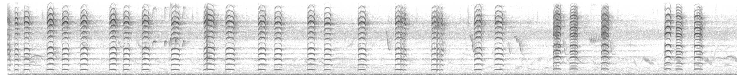 Double-striped Thick-knee - ML622292610