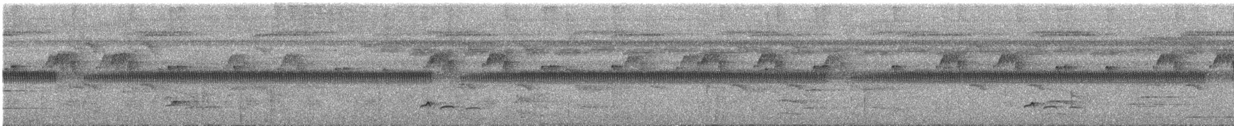 Great-billed Hermit - ML622301292