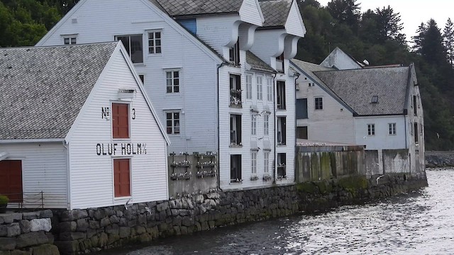 Гурван хуруут цахлай - ML622302895