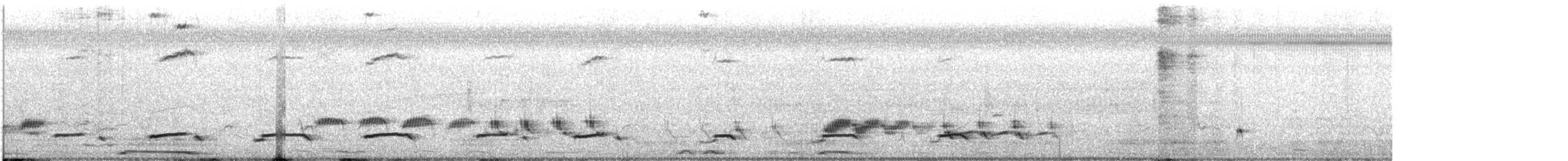 Black-throated Bobwhite - ML622303553