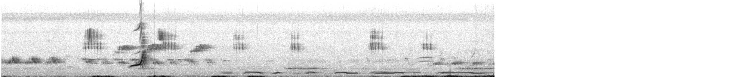 Mexican Sheartail - ML622303844