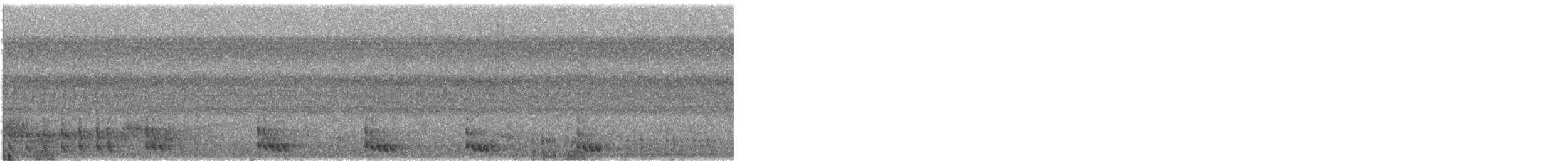 ギンムネカッコウ - ML622305747