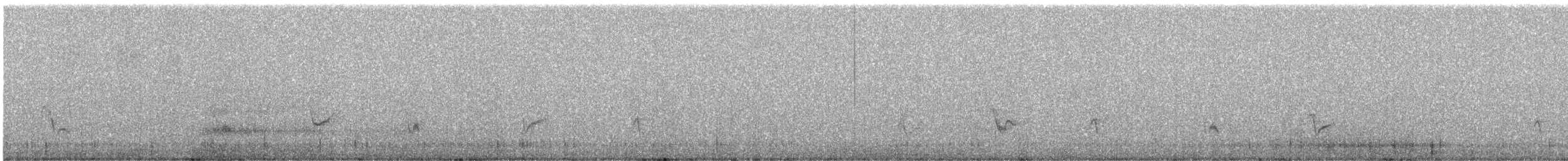Gray Vireo - ML622311969