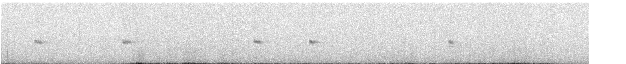 Canyon Wren - ML622312186
