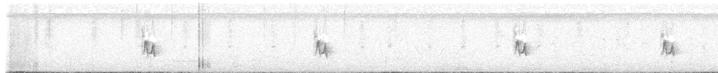 House Sparrow - ML622313861