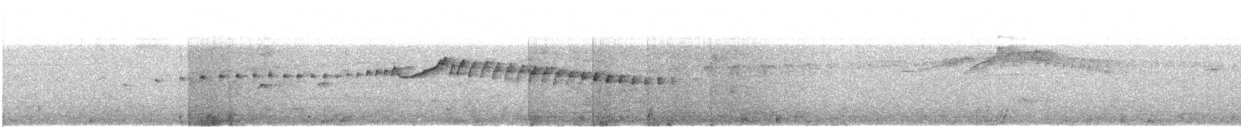 Pigeon Guillemot - ML622314285
