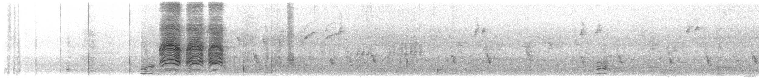 Ashy Starling - ML622315581