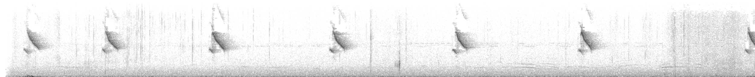 Greater Double-collared Sunbird - ML622318788