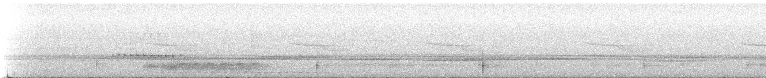 サンタマルタオオコノハズク - ML622326285