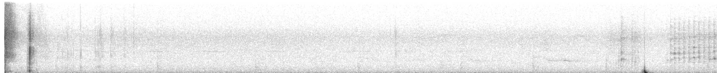 Hoffmann's Woodpecker - ML622326847