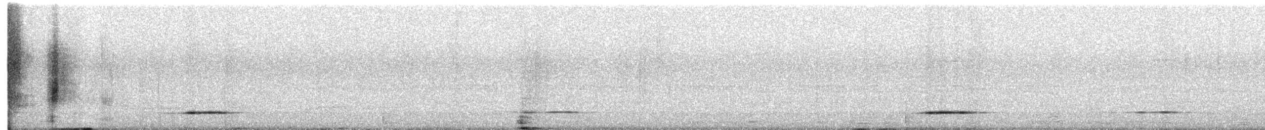 Lesser Ground-Cuckoo - ML622326877