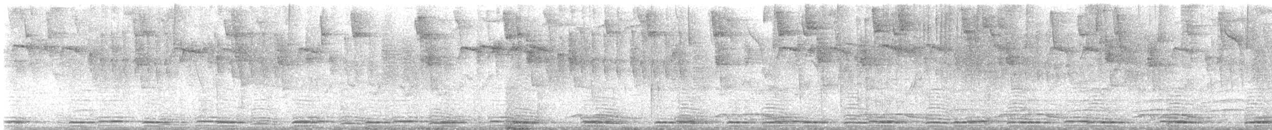 Plate-billed Mountain-Toucan - ML622336536
