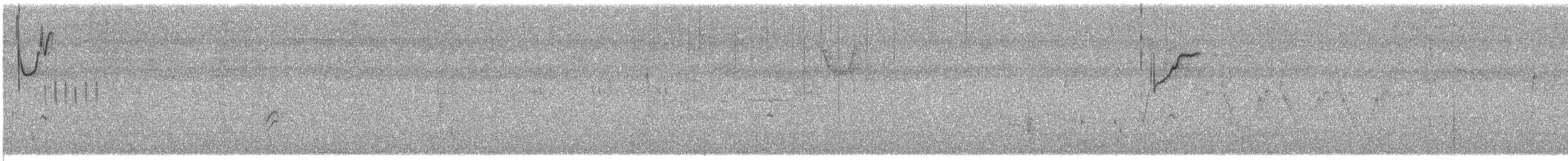 brunhodetrupial - ML622337133