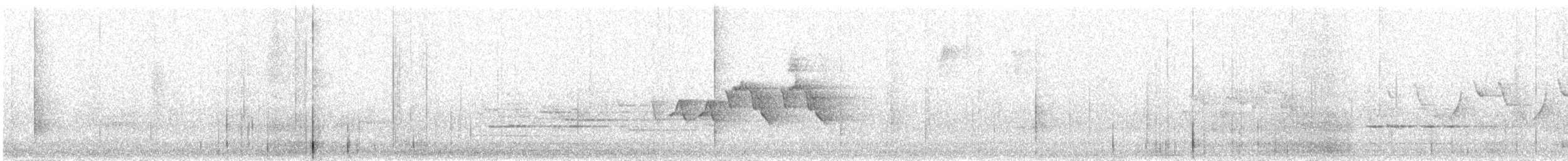 Magnolia Warbler - ML622338235