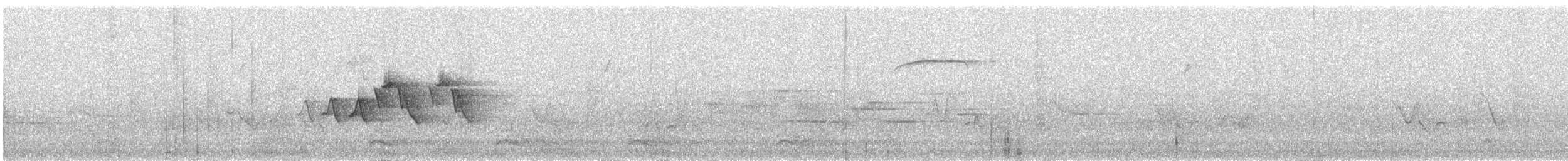 Magnolia Warbler - ML622338358