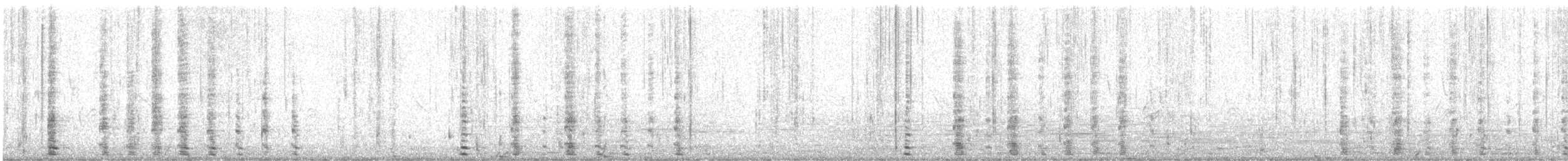 Graylag Goose (Domestic type) - ML622338827