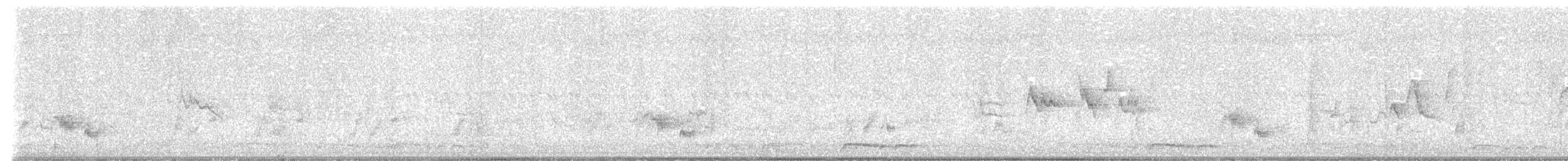 Silvereye - ML622345579