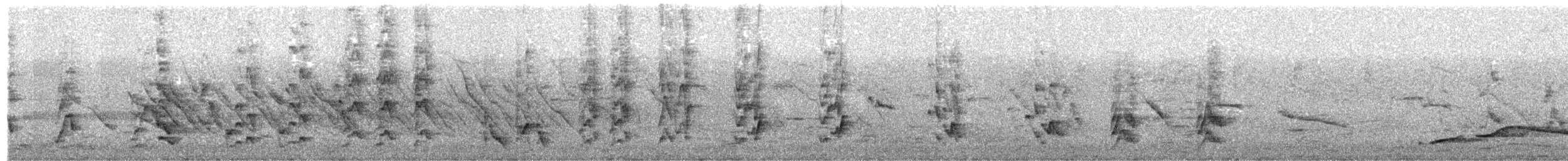 シロハラコウライウグイス - ML622346490