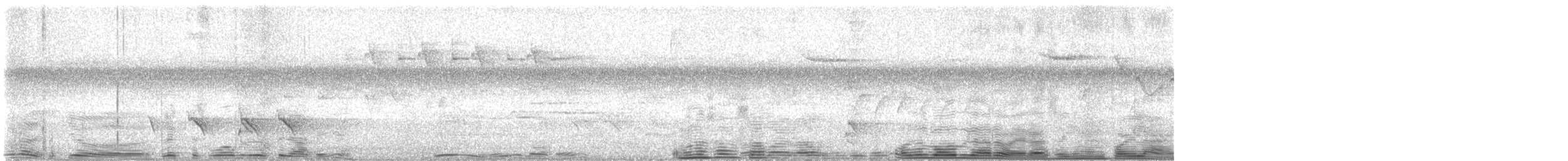 Allotrie siamoise (ripleyi) - ML622347752