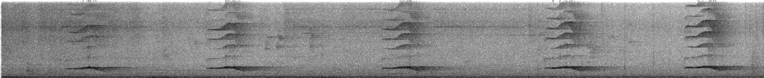 Asian Koel - ML622359061