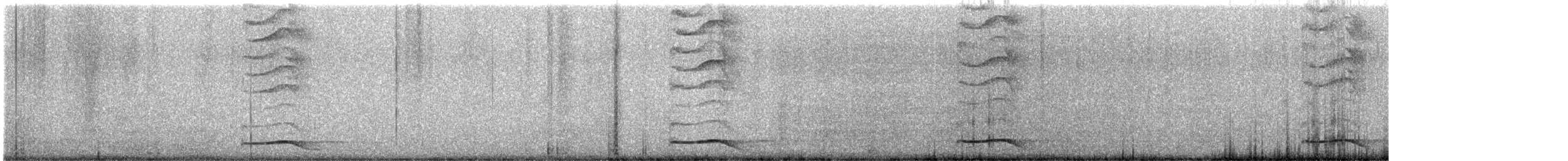 Asian Koel - ML622359078