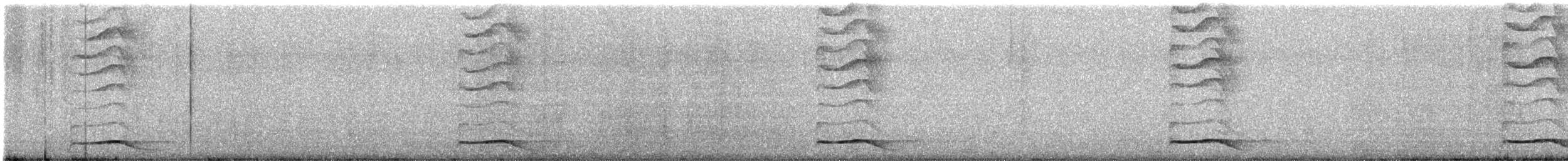 Asian Koel - ML622359079