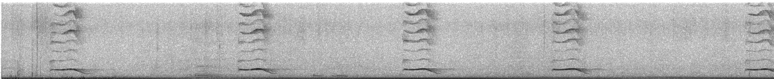 Asian Koel - ML622359080