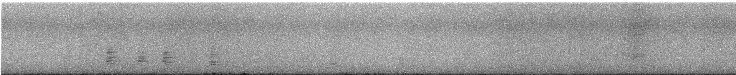 ナスカカツオドリ - ML622367637
