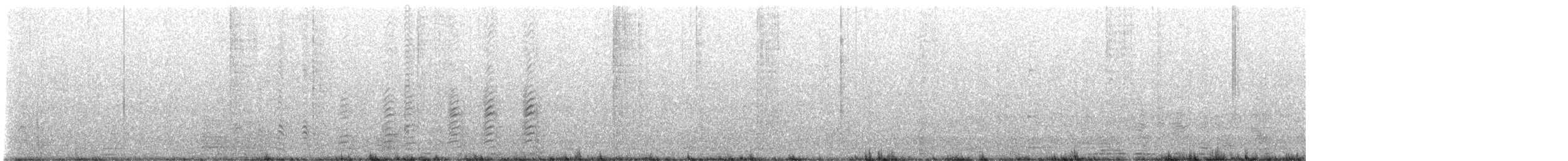 Heermann's Gull - ML622370951