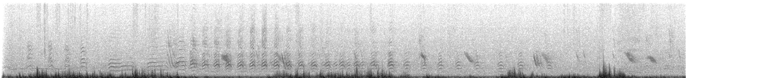 Heermann's Gull - ML622370952