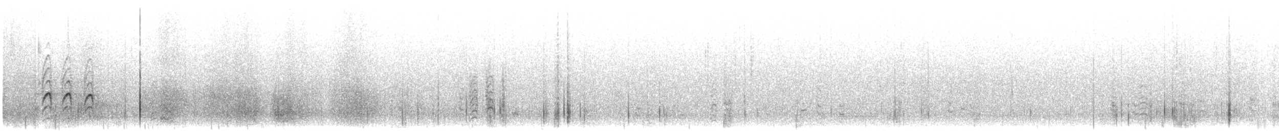 Белобровая чечевица - ML622384942