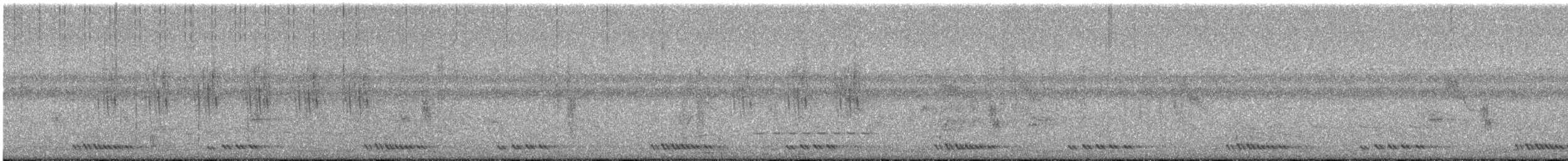 Striped Prinia - ML622386512